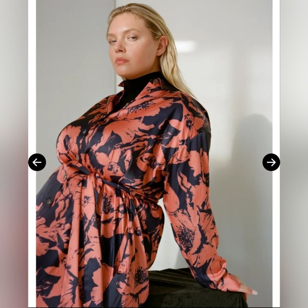 Pari Passu NWOT Floral Shirt Dress Size 18 Plus Quiet Luxury Modern Minimalist - Picture 3 of 11